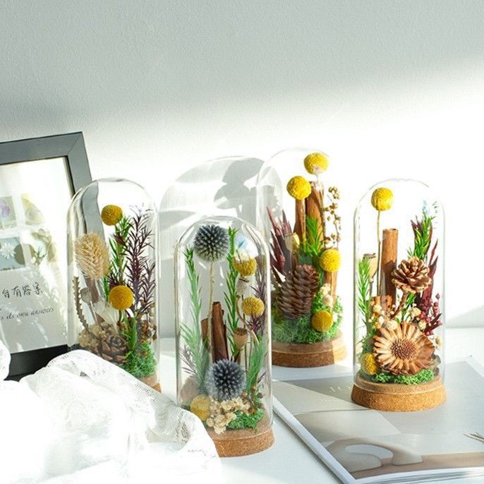 Moderne Decoratieve Bloemen Terrarium