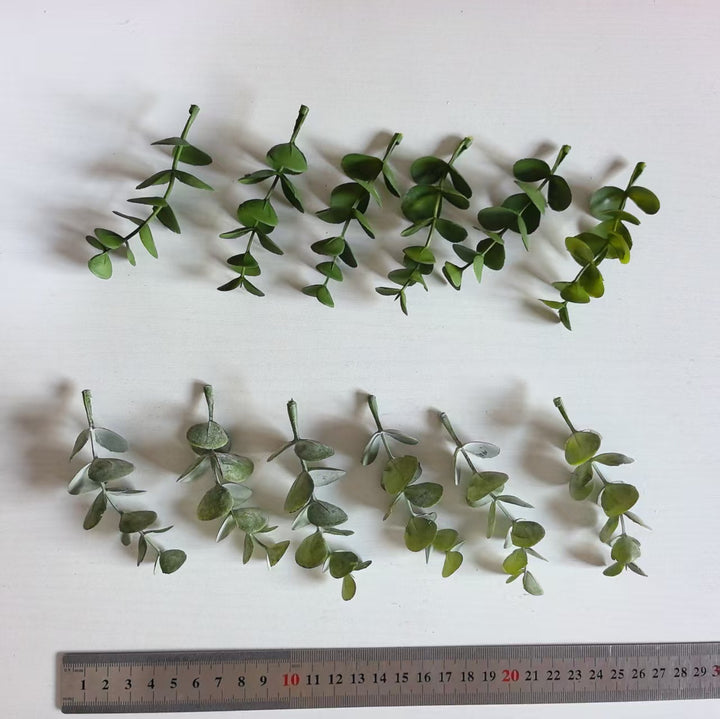 Decoratieve Eucalyptus