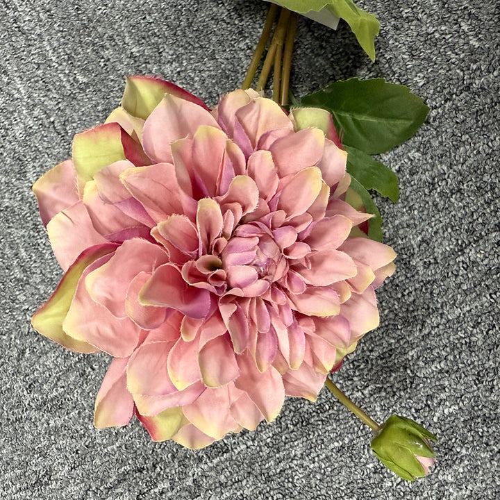 Exquise Nep-Dahlia Bloemsteel