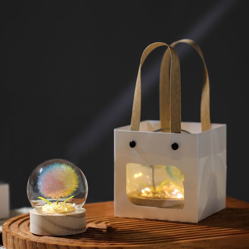 Decoratieve Glazen Terrarium