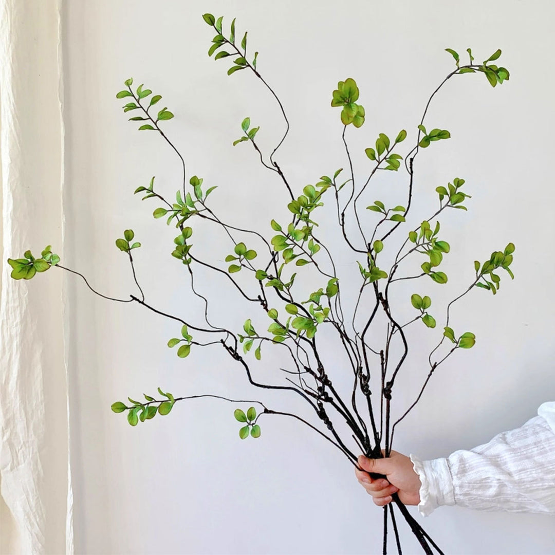 Decoratieve Natuurlijke Takkenarrangement