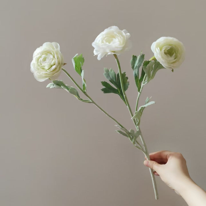 Levensechte Ranunculus Bloemsteel