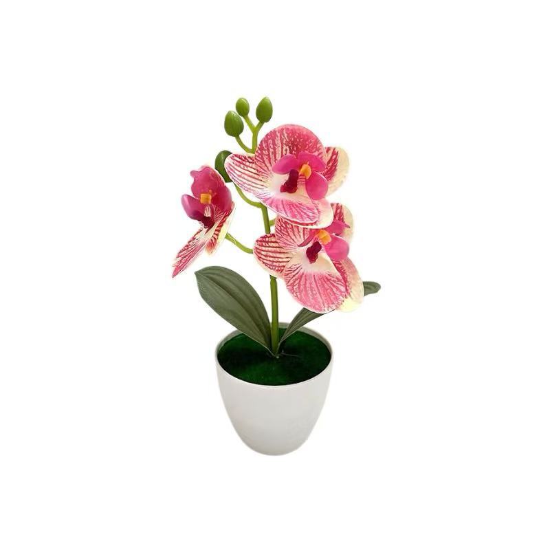 Levensechte Orchidee Bloemarrangement