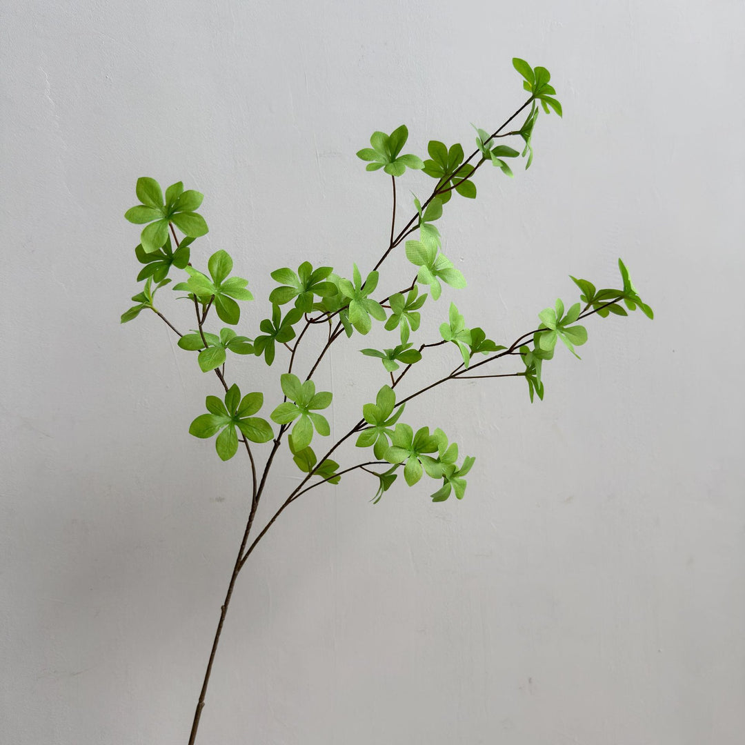 Elegante Decoratieve Plant