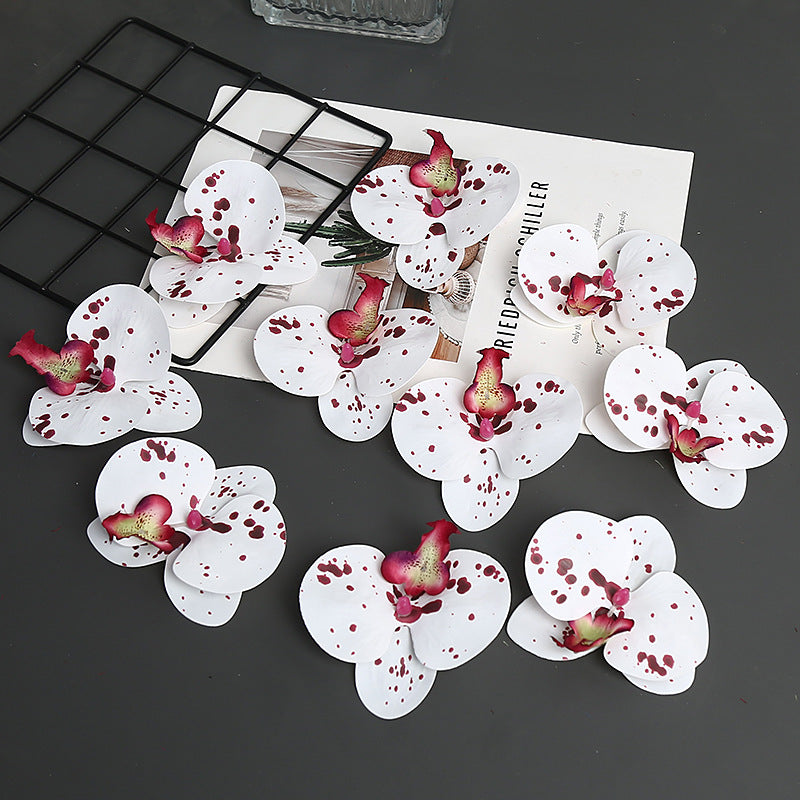 Decoratieve Orchidee Petal voor Thuisdecoratie Display