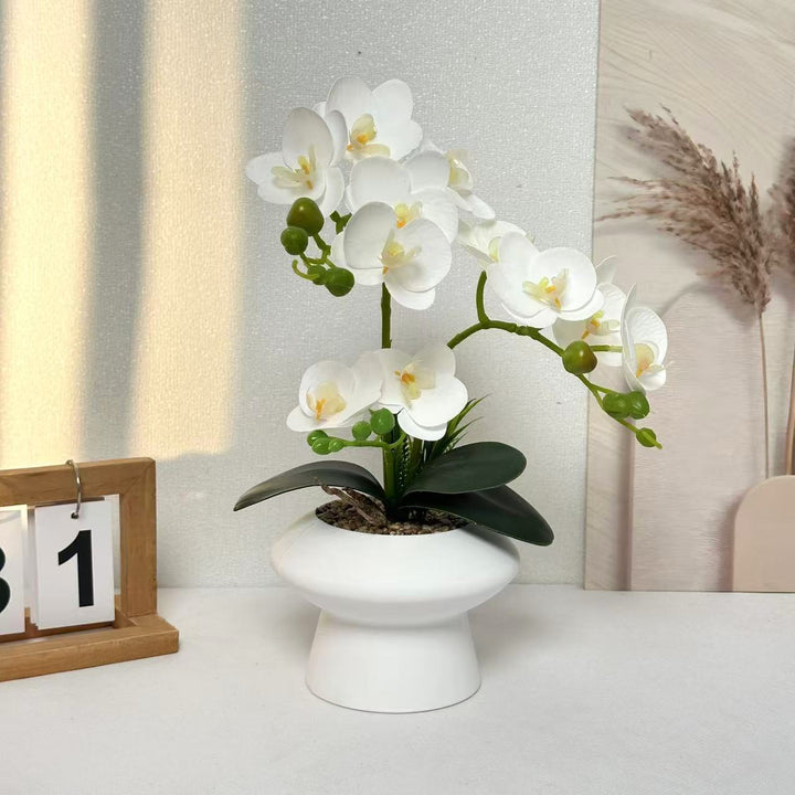 Decoratieve Orchidee Bloem Arrangement voor Thuis Weergave