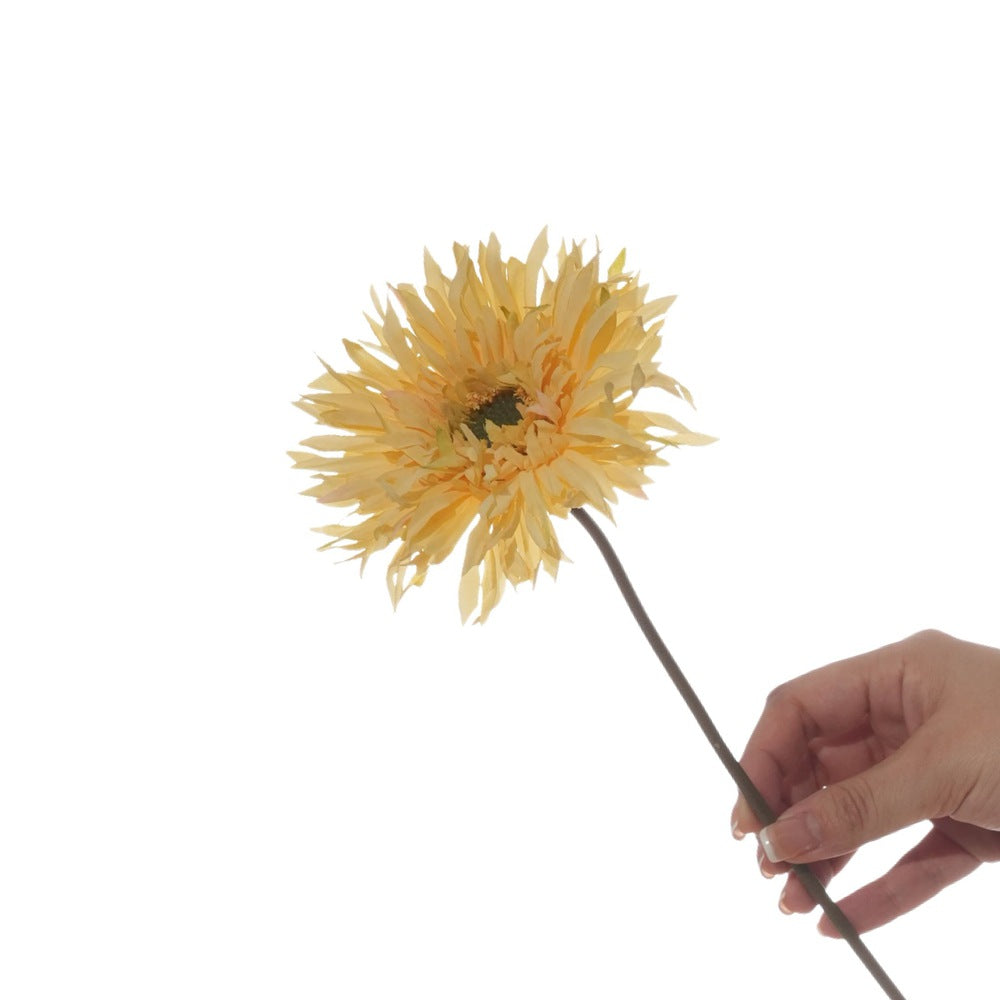 Levensechte Gerbera Daisy Stengel