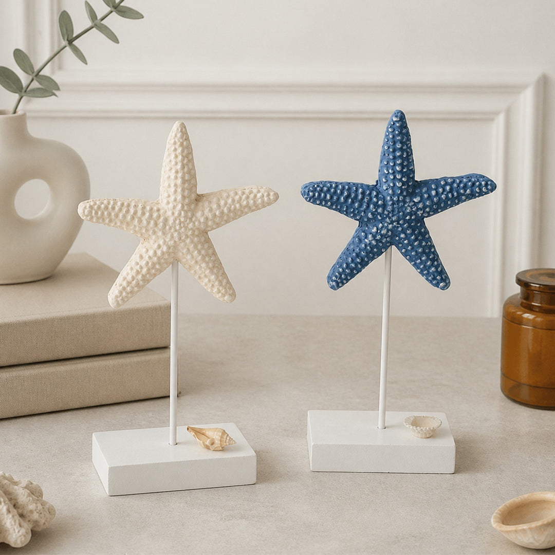 Kust Zeester Sculptuur Display