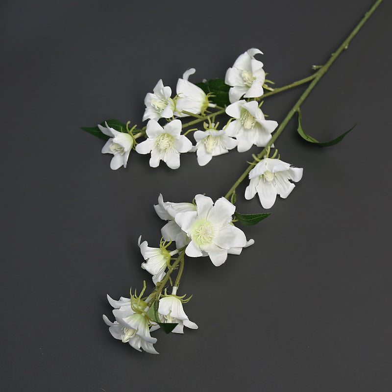 Bloemrijke Accentsteel voor Thuisdecoratie Tentoonstelling
