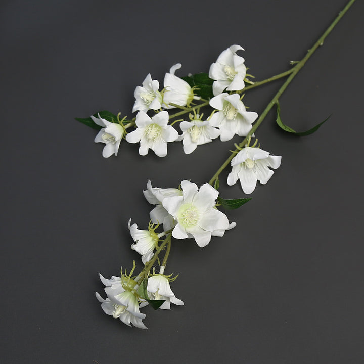 Bloemrijke Accentsteel voor Thuisdecoratie Tentoonstelling