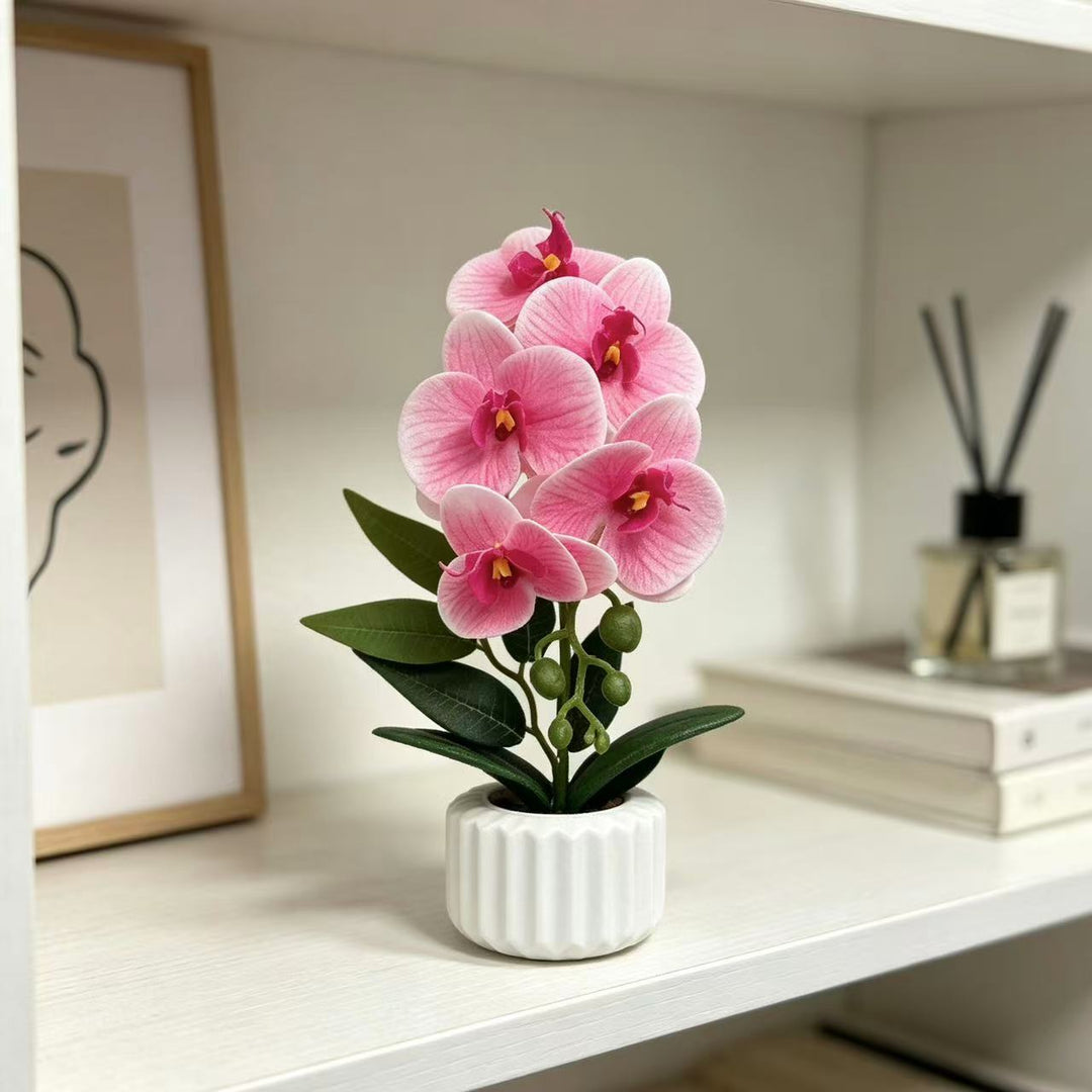 Decoratieve Potplant Orchidee voor Thuisdecoratie Display