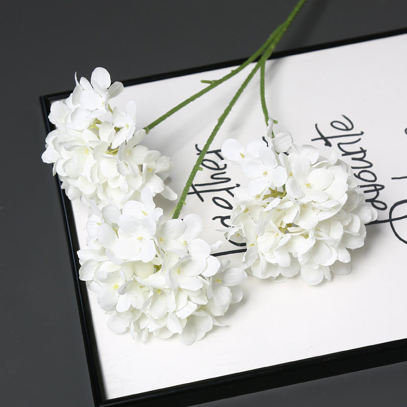 Decoratieve Nepbloem voor Huisdecoratie