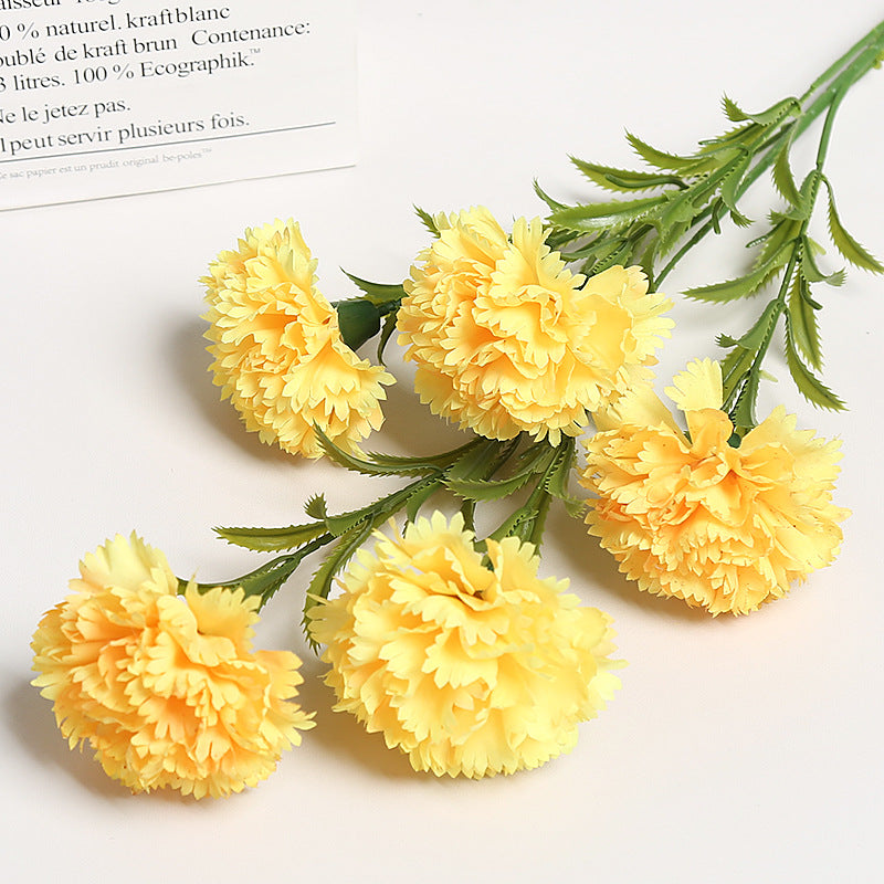 Realistische Bloemen Anjers Boeket