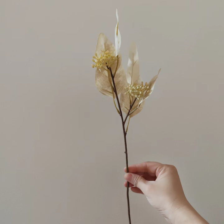Decoratieve Gedroogde Bloemstengel