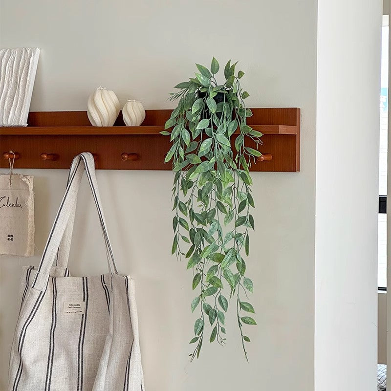 Levensechte Hang Eucalyptus Plant