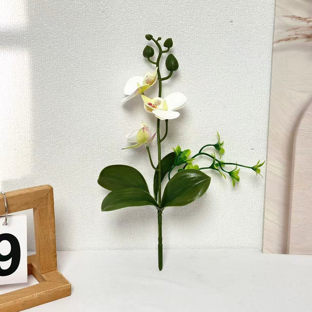 Elegante Orchideeën Bloemstuk