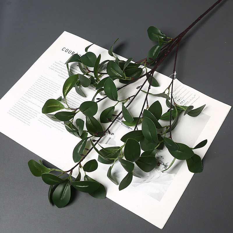 Realistische Groene Planten