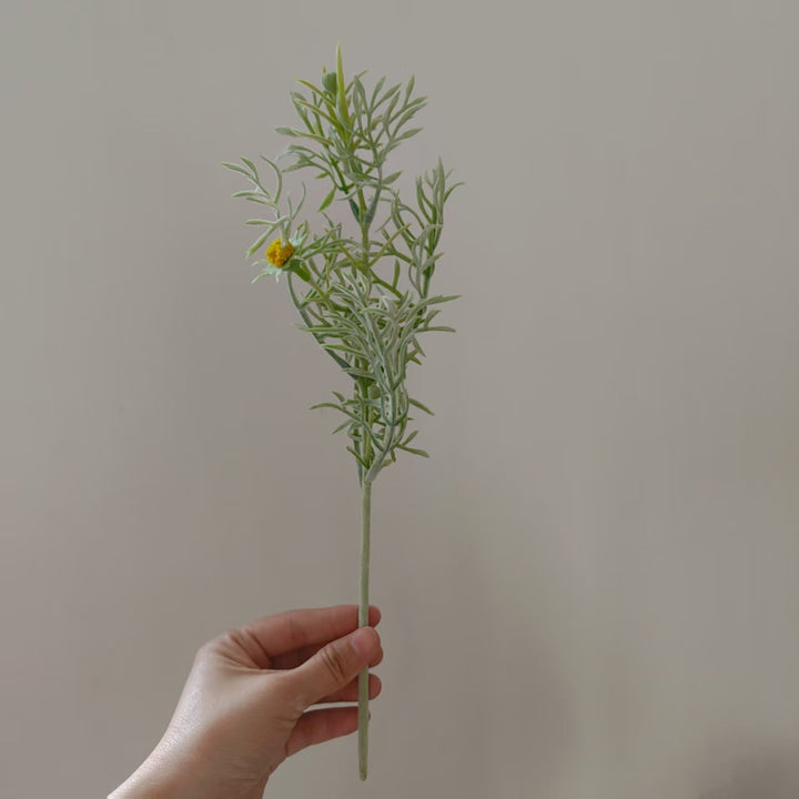 Elegante Decoratieve Wilde Bloem Stengel