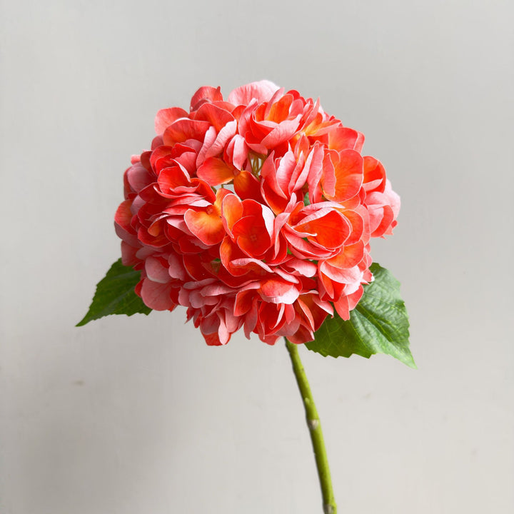 Levensechte Hortensia Steel