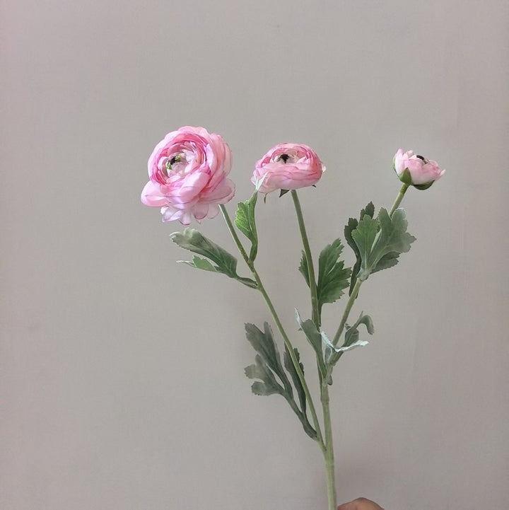Realistische Ranunculus Bloemensteel