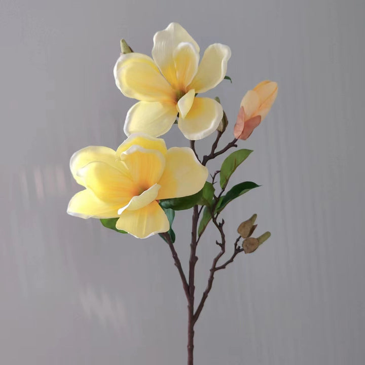 Realistische Magnolia Bloesem Steel