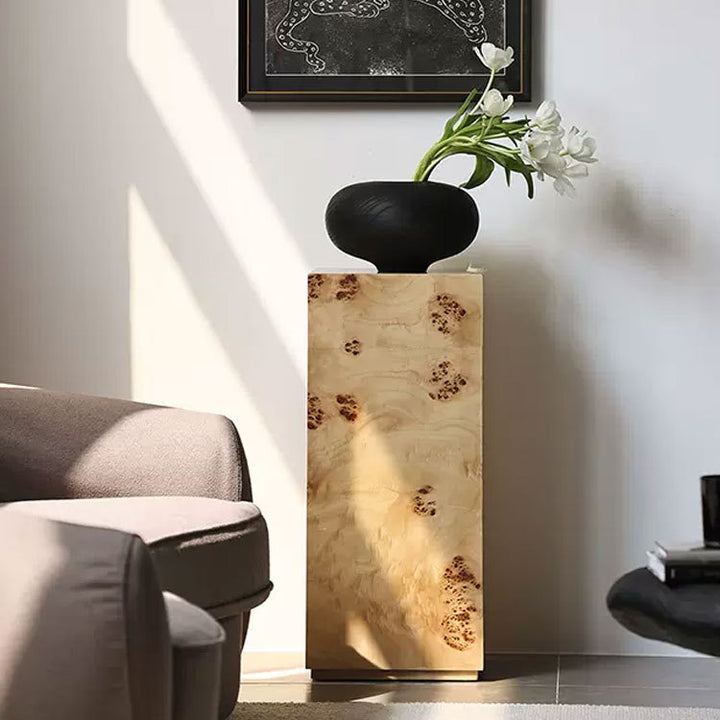 Moderne Decoratieve Houten Opslagkast
