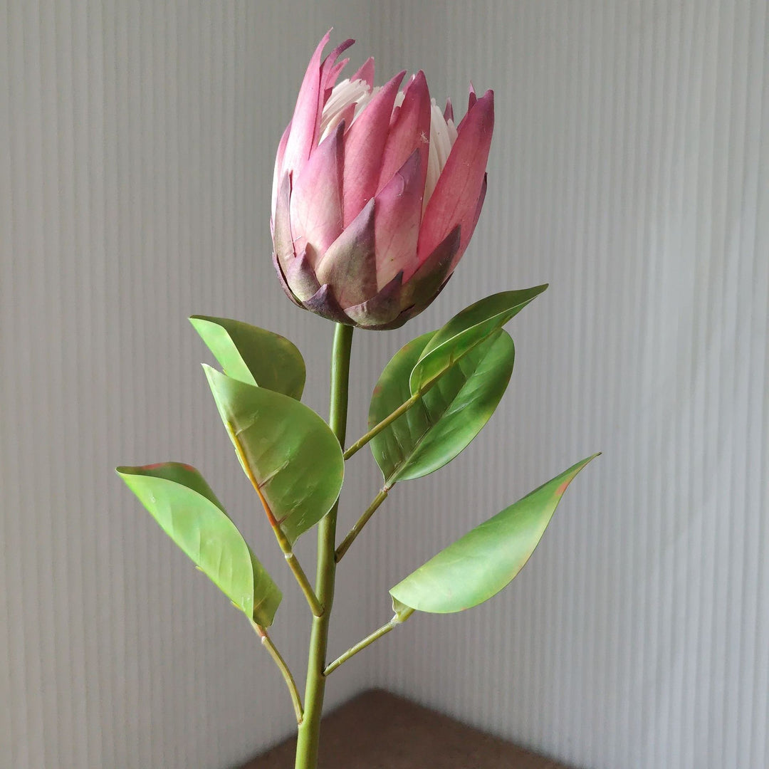 Levensechte Protea Bloem Steel