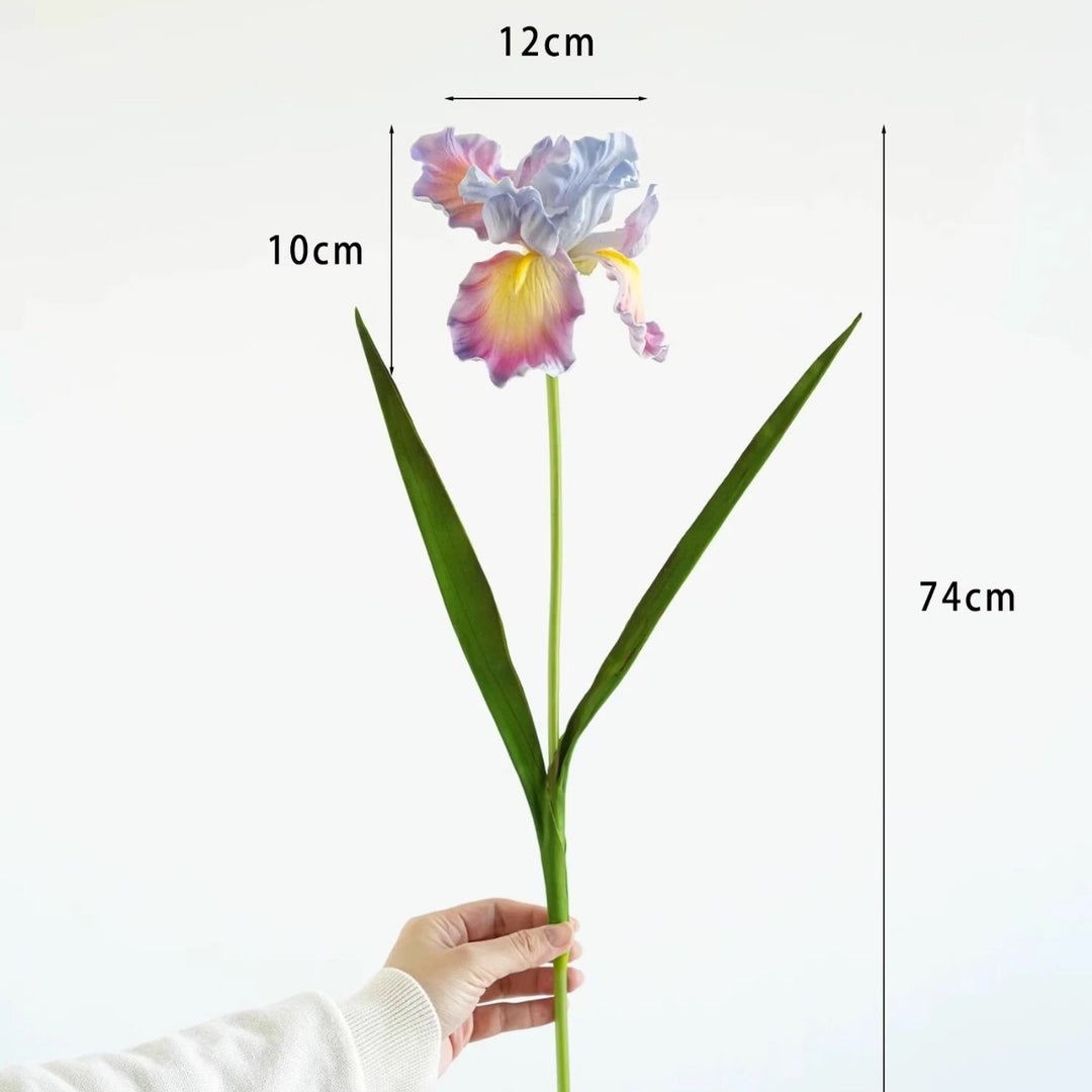 Decoratieve Iris Bloemsteel