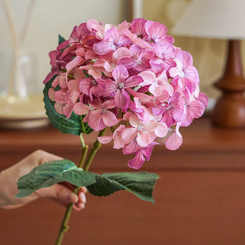 Hortensia Decoratieve Bloem Stem
