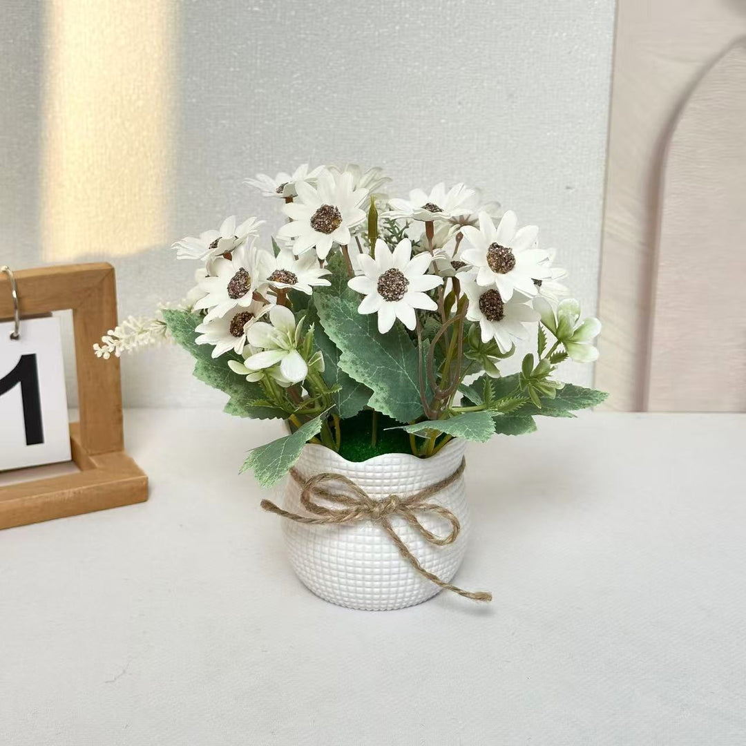 Levendige Potplanten Bloem Arrangement