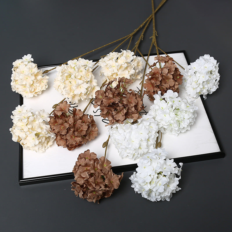 Decoratieve Gedroogde Bloemenstengel voor Hu decoration