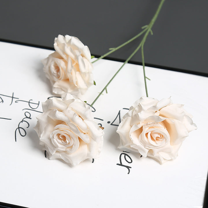 Decoratieve Neproos Stelen voor Woondecoratie