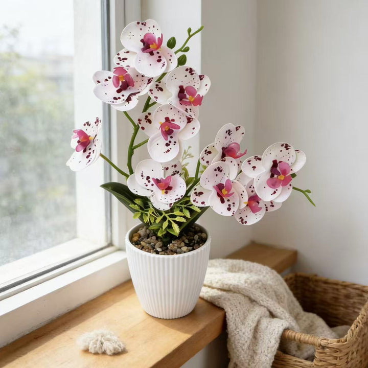 Kunstmatige Orchidee voor Woondecoratie en Binnenpresentatie
