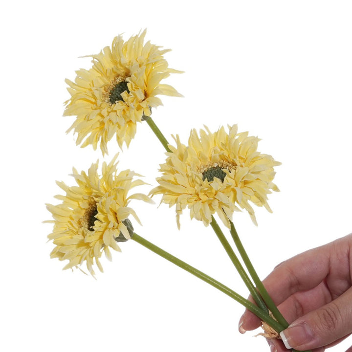 Levensechte Gerbera Daisy Stengel