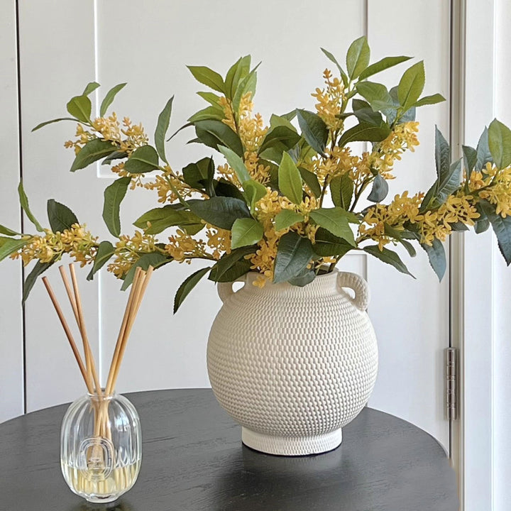 Decoratieve Gele Bloesem Tak