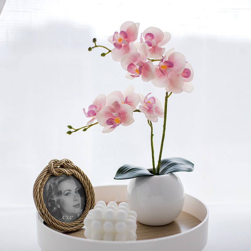 Decoratieve Orchideeënaankleding