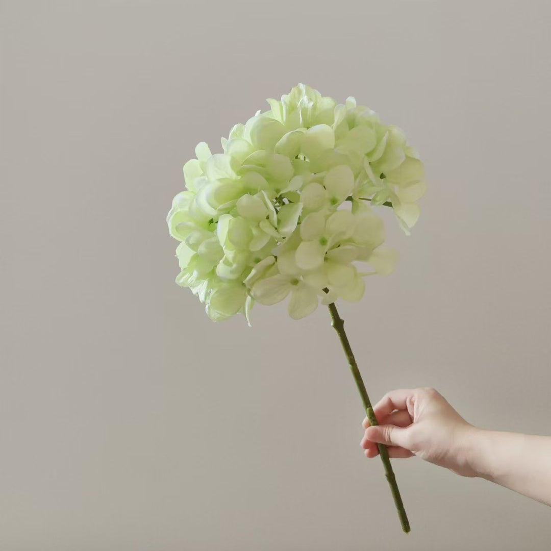 Nep Orchidee Steel