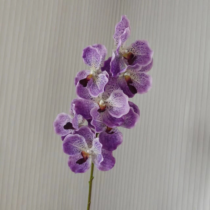 Realistische Orchidee Stengel