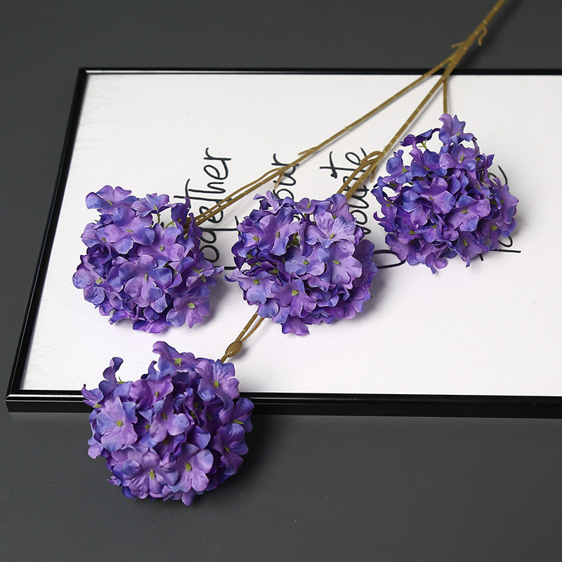 Decoratieve Gedroogde Bloemenstengel voor Hu decoration