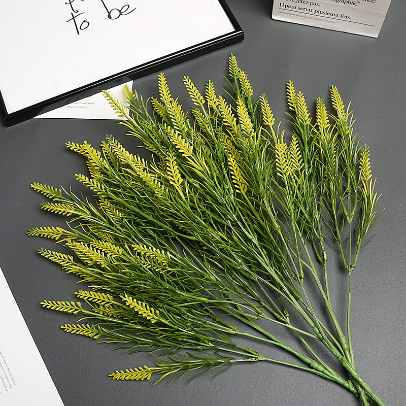 Lavender Bloem Stengel