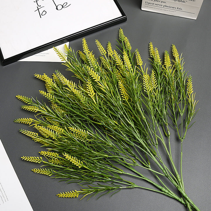 Lavender Bloem Stengel
