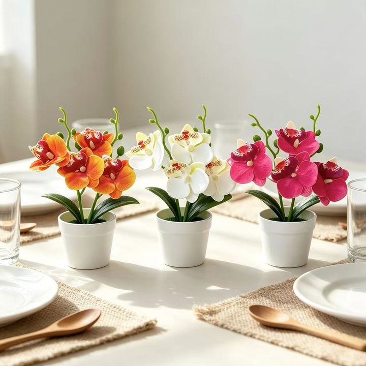 Elegante Decoratieve Orchidee Bloemarrangement voor Huisdecoratie