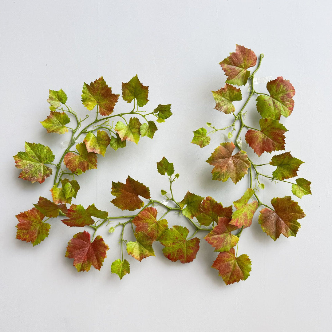 Weelderige Groene Decoratieve Wijnstok