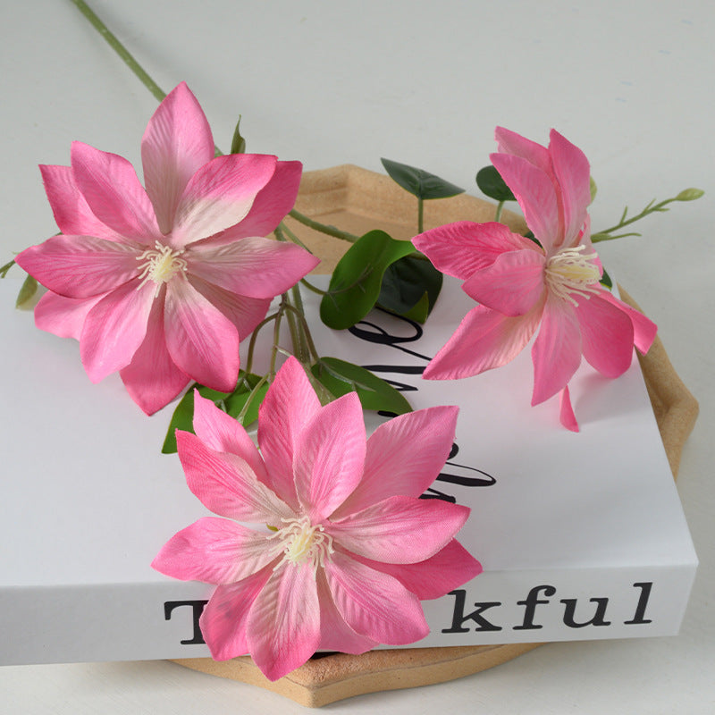 Decoratieve Florale Clematis Stengel