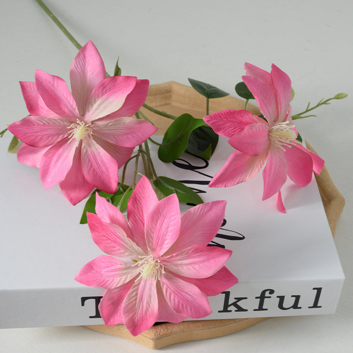 Decoratieve Florale Clematis Stengel