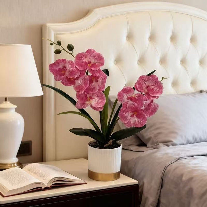 Orchidee Bloemenpot Arrangement