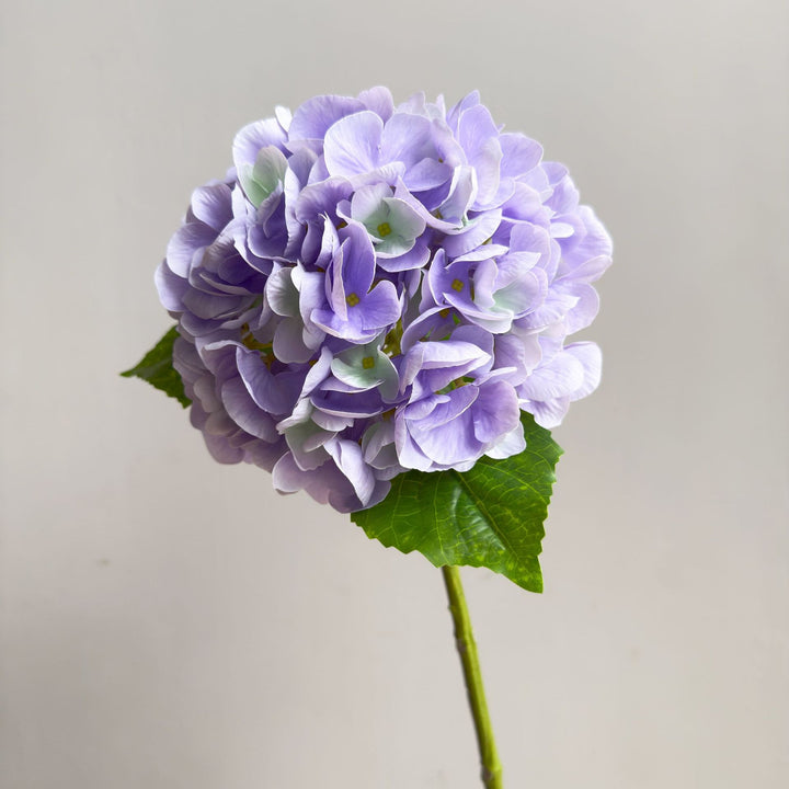 Levensechte Hortensia Steel