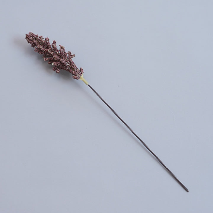 Elegante Gedroogde Botanische Tak