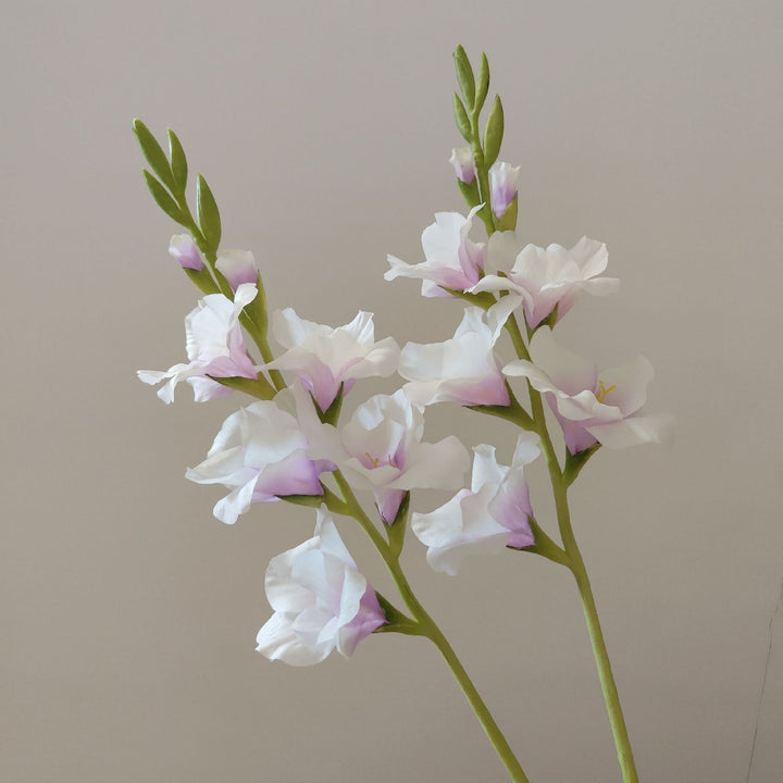 Orchid Bloemen Steel