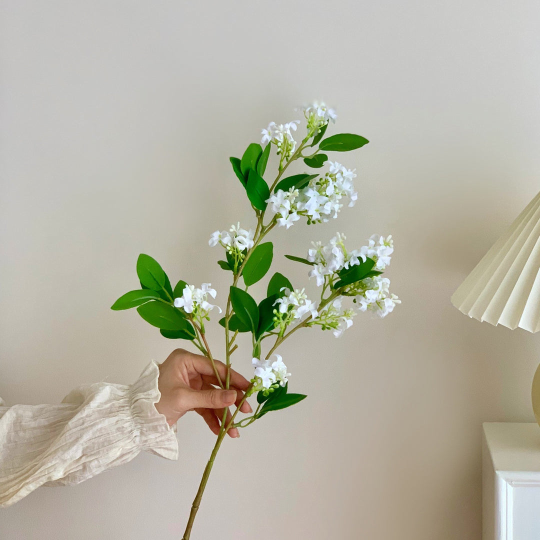 Decoratieve Botanische Tak Arrangement